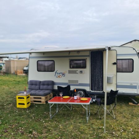 מלון Neusiedl an der Zaya Louise'S Camper מראה חיצוני תמונה